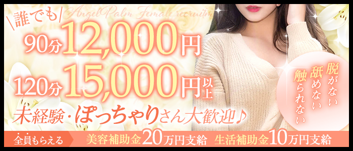 エンジェルパーム（Angel Palm）の求人画像