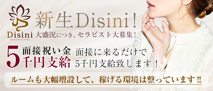 Disiniの求人画像