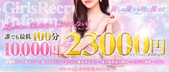 推しは推せる時に推せの求人画像