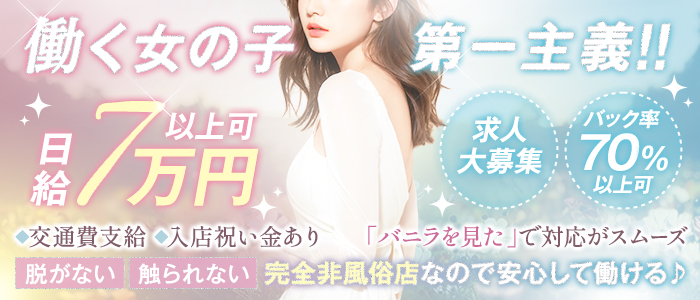 サボテンの求人画像