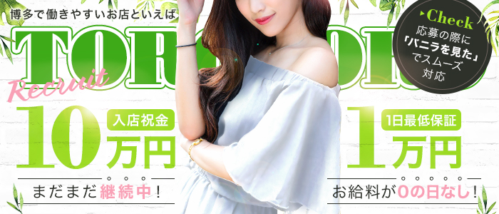 TOROTOROの求人画像